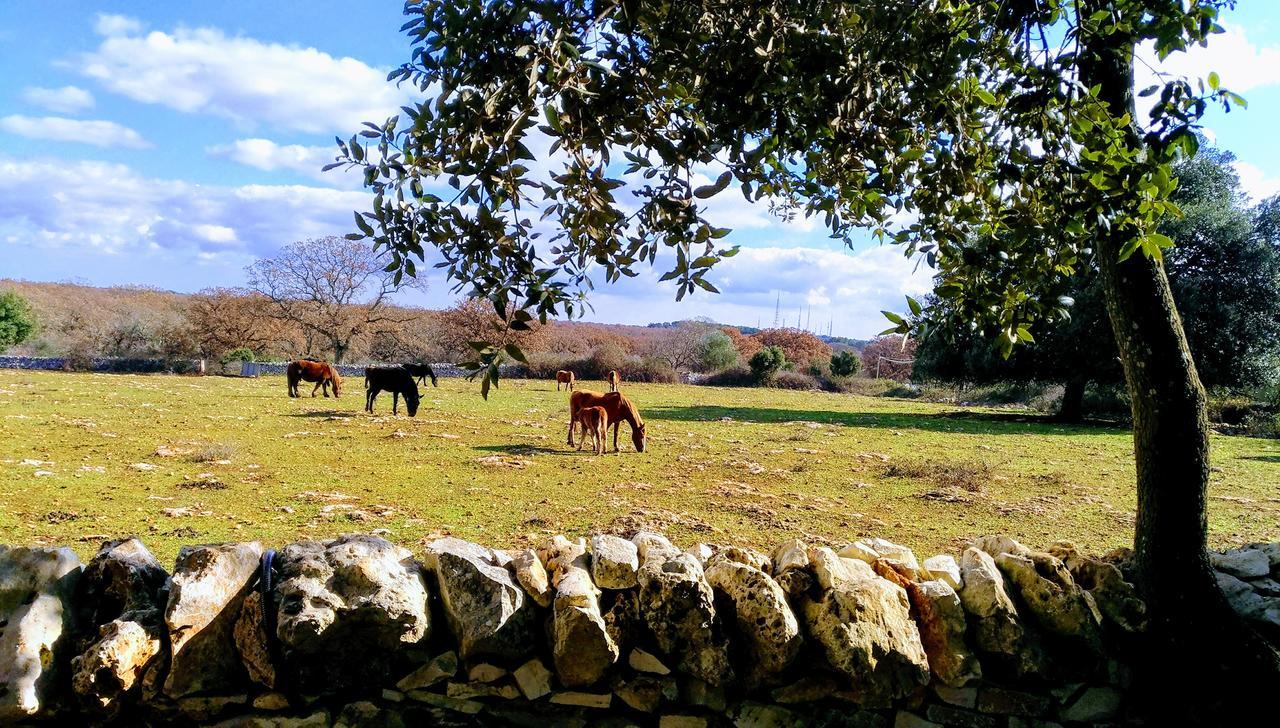 Agriturismo Iazzo Scagno Martina Franca Exterior foto